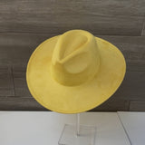 Classic Wide Brim Suede Premium Hat