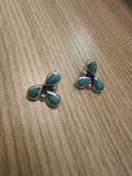 Teardrop Post Earrings