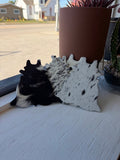 Mini Cowhide Rug Coaster - Brandable Item