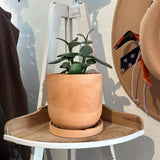 Locally Grown Potted Plants MISC ACCESS. - 113 Moon Child Collective   